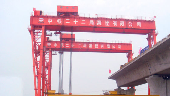 Irradie Crane Double Beam Gantry Crane de levantamento 10m que levanta 50 Ton Large Span