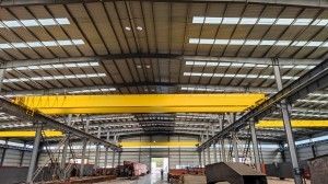 Modelos múltiplos 50 Ton Overhead Crane